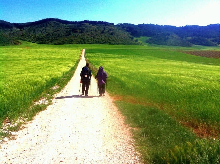 Dois peregrinos caminhando por uma estrada entre campos verdes no Caminho de Santiago